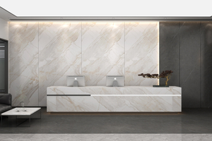 Porcelain Format Slabs For Wall Cladding